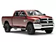 Barricade 4-Inch Oval Straight End Side Step Bars; Stainless Steel (10-24 RAM 2500 Crew Cab)