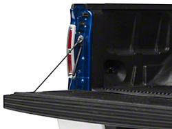 Barricade Tailgate Assist (04-14 F-150)