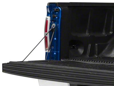 Barricade Tailgate Assist (04-14 F-150)