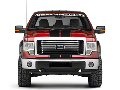 SEC10 Full Length Stripes; Gloss Black; 10-1/4-Inch (09-14 F-150)