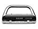 3.50-Inch Savannah Oval Bull Bar; Stainless Steel (04-23 F-150, Excluding Raptor)