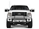 Bull Bar with Stainless Steel Skid Plate; Stainless Steel (04-24 F-150, Excluding Raptor)