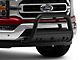 Bull Bar with Skid Plate; Textured Black (04-24 F-150, Excluding Raptor)