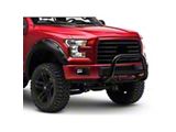 Max Bull Bar; Black (04-25 F-150, Excluding Raptor)