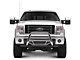 Max Bull Bar; Stainless Steel (04-24 F-150, Excluding Raptor)