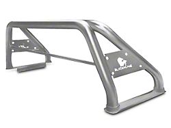 Classic Roll Bar; Stainless Steel (07-25 Sierra 1500)