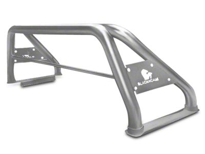Classic Roll Bar; Stainless Steel (07-25 Sierra 1500)