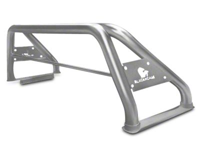 Classic Roll Bar; Stainless Steel (07-24 Sierra 1500)