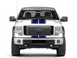 SEC10 Full Length Stripes; Blue; 10-1/4-Inch (09-14 F-150)