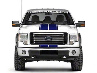 SEC10 Full Length Stripes; Blue; 10-1/4-Inch (09-14 F-150)