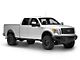 Body Armor 4x4 ECO-Series Front Bumper (09-14 F-150, Excluding Raptor)