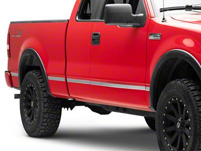 Body Molding Insert Trim; Stainless Steel (04-08 F-150 Styleside)