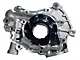 Boundary Racing Pumps Billet Oil Pump with Gear Vane Ported and Billet Back Plate; MartenWear Treated (18-24 5.0L F-150)
