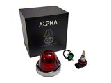 BTS Lighting Alpha Series Glass is Class LED Star Watermelon Light; Red (Universal; Some Adaptation May Be Required)
