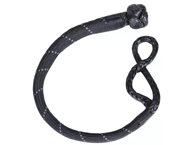Bulldog Winch 12mm AR Rope Shackle; 45,000 lb.