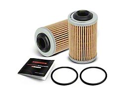 Engine Oil Filters; Set of 2 (15-16 3.6L Canyon)