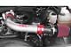 CGS Motorsports Cold Air Intake System; Silver (04-05 4.6L F-150)