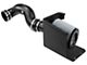 AFE Magnum FORCE Stage-2 Cold Air Intake with Pro DRY S Filter; Black (2009 6.0L Silverado 1500, Excluding Hybrid)