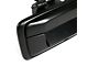 Tailgate Handle with Backup Camera and Key Hole; Primered Black (15-19 Colorado)