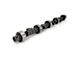 Comp Cams Xtreme Energy 236/242 Solid Flat Camshaft (2002 5.9L RAM 1500)