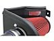 Corsa Performance APEX Series Cold Air Intake with DryTech 3D Dry Filter (15-16 3.5L EcoBoost F-150)