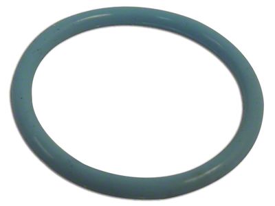Oil Pickup Tube O-Ring (13-18 3.6L RAM 1500)