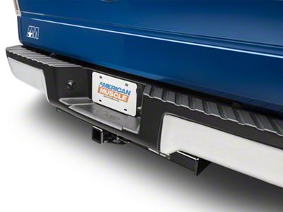 Class IV Trailer Hitch (09-14 F-150 w/o Factory Hitch)