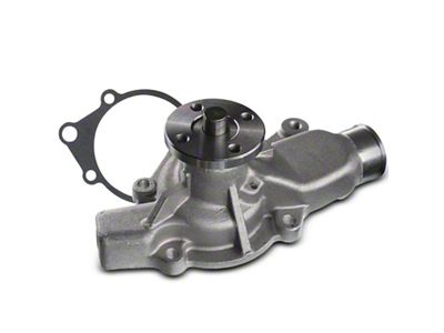 Engine Water Pump with Gasket (96-02 Dakota)