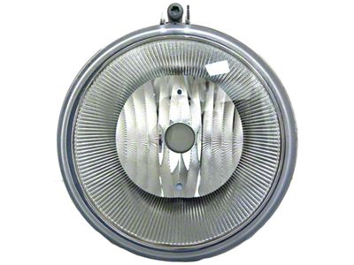 Fog Lamp Assembly (06-09 Dakota)