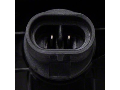 Fog Light; Passenger Side (97-00 Dakota)