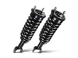 Front Strut and Spring Assemblies (05-11 4WD Dakota)