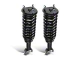 Front Strut and Spring Assemblies (05-11 2WD Dakota)