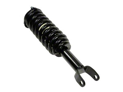 Front Strut and Spring Assemblies with Front Sway Bar Links (05-09 4WD Dakota)