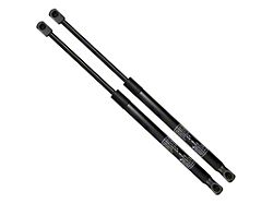Hood Lift Support Struts (05-11 Dakota)