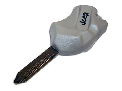 Non-Transponder The Rock Key; Gray (94-07 Dakota)