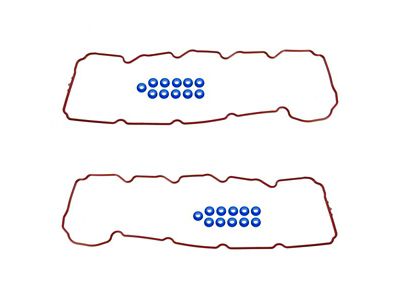 Valve Cover Gasket Set (00-03 4.7L Dakota)