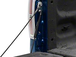 Tailgate Assist (04-14 F-150 Styleside)