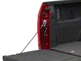 Tailgate Assist (15-25 F-150)