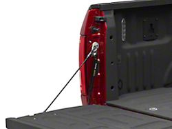 Tailgate Assist (15-24 F-150)