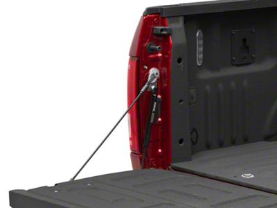 Tailgate Assist (15-25 F-150)