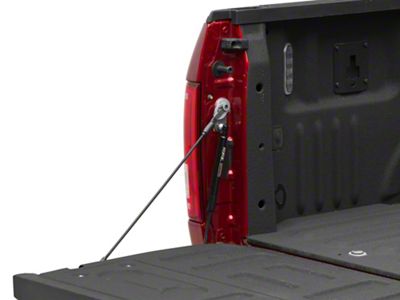 Tailgate Assist (15-24 F-150)