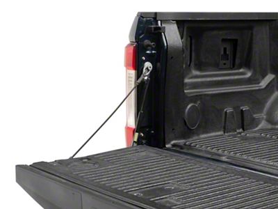 Tailgate Assist (17-25 F-350 Super Duty)
