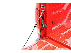 Tailgate Assist (03-09 RAM 3500)