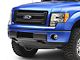 Defenderworx Ford Oval Grille or Tailgate Emblem; Blue (04-14 F-150 w/o Backup Camera)