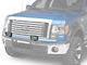 Delta Lights 250 Series Rectangular Fog Lights with Stone Guards; 55 Watt Halogen (Universal; Some Adaptation May Be Required)