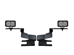 Diode Dynamics Stage Series C2 Pro LED Ditch Light Kit; White Combo (17-22 F-250 Super Duty)