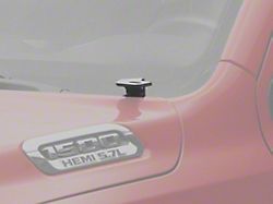 Diode Dynamics Stage Series Ditch Light Mounting Brackets (19-25 RAM 1500)