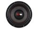 DS18 GEN-X 10-Inch Subwoofer; 800 Watts (Universal; Some Adaptation May Be Required)