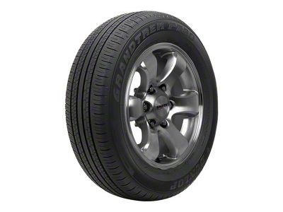 Dunlop Grandtrek PT30 Tire (29" - 225/65R17)