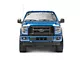RedRock OE Replacement Fender Flares (15-17 F-150 w/ OE Fender Flares Only)